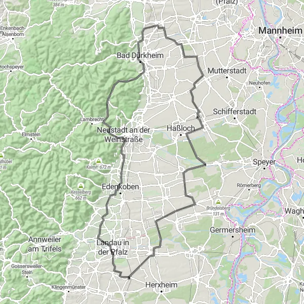 Map miniature of "Energizing Rheinhessen-Pfalz" cycling inspiration in Rheinhessen-Pfalz, Germany. Generated by Tarmacs.app cycling route planner