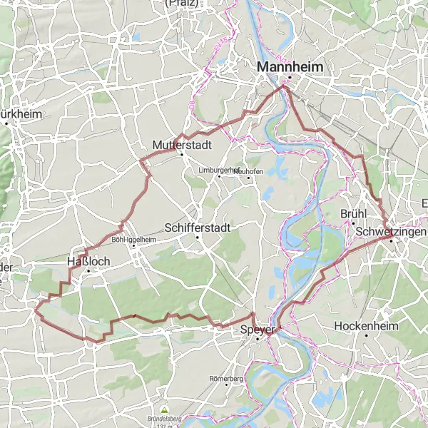 Map miniature of "Palatine Gravel Challenge" cycling inspiration in Rheinhessen-Pfalz, Germany. Generated by Tarmacs.app cycling route planner