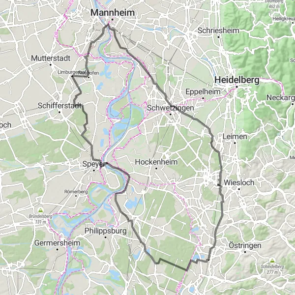 Map miniature of "Exploring the Rhine River Valley" cycling inspiration in Rheinhessen-Pfalz, Germany. Generated by Tarmacs.app cycling route planner