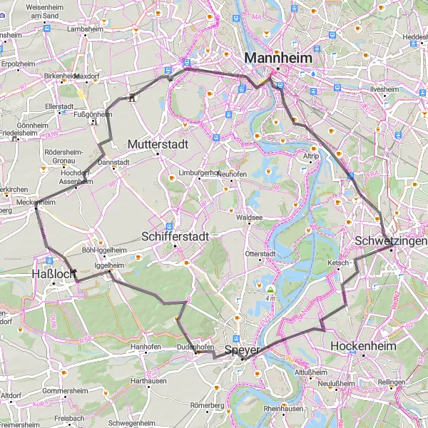 Karten-Miniaturansicht der Radinspiration "Rundweg Mannheim-Schwetzingen" in Rheinhessen-Pfalz, Germany. Erstellt vom Tarmacs.app-Routenplaner für Radtouren