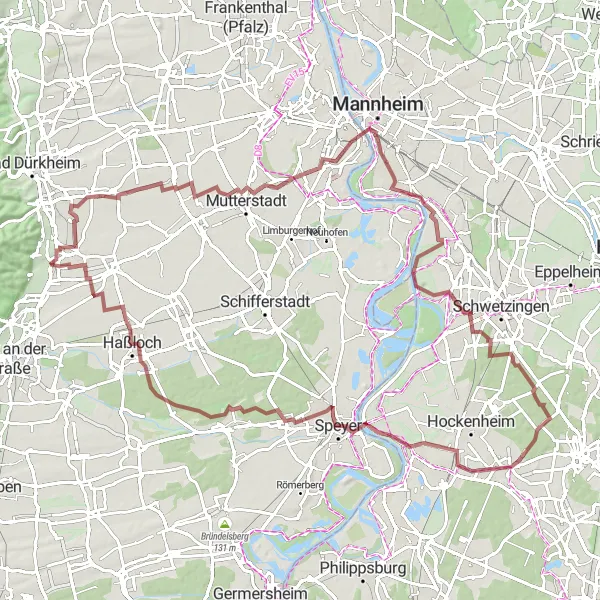 Map miniature of "Rhein Route" cycling inspiration in Rheinhessen-Pfalz, Germany. Generated by Tarmacs.app cycling route planner