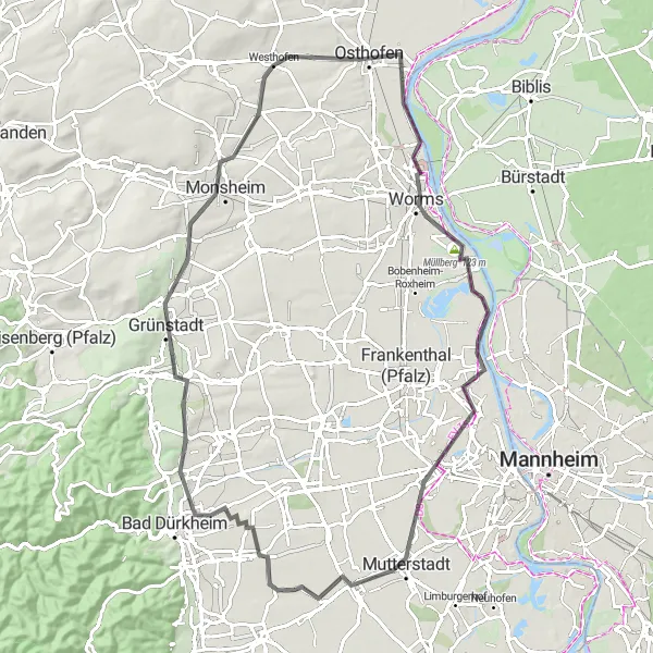 Map miniature of "Rödersheim-Gronau - Südring" cycling inspiration in Rheinhessen-Pfalz, Germany. Generated by Tarmacs.app cycling route planner