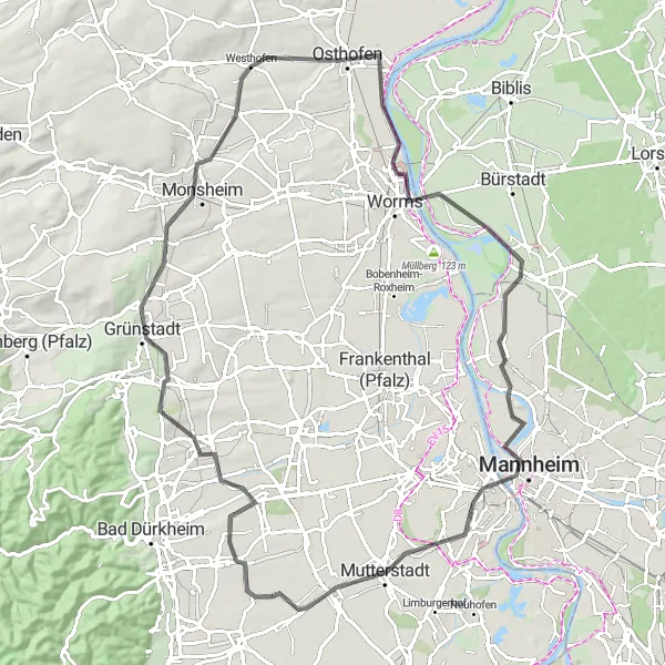 Map miniature of "Rödersheim-Gronau - Rheinhessen Road Adventure" cycling inspiration in Rheinhessen-Pfalz, Germany. Generated by Tarmacs.app cycling route planner