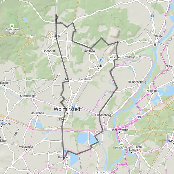 Map miniature of "Colbitz Loop" cycling inspiration in Sachsen-Anhalt, Germany. Generated by Tarmacs.app cycling route planner