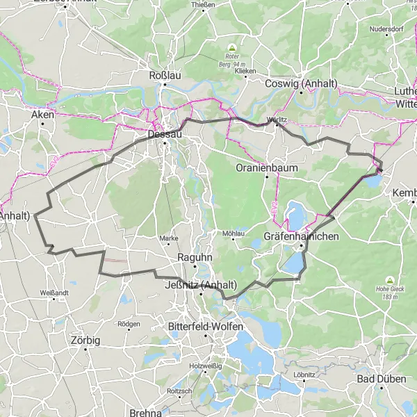 Map miniature of "Bergwitz - Dessau Round-Trip" cycling inspiration in Sachsen-Anhalt, Germany. Generated by Tarmacs.app cycling route planner