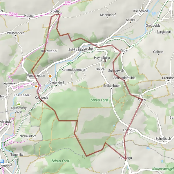 Map miniature of "Gravel Adventure to Haynsburg Castle" cycling inspiration in Sachsen-Anhalt, Germany. Generated by Tarmacs.app cycling route planner