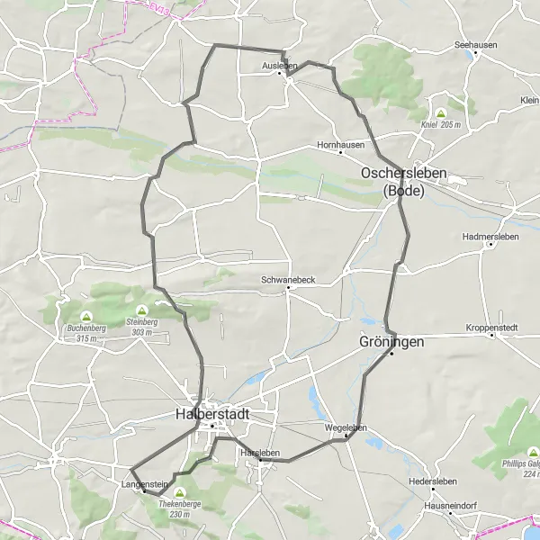 Map miniature of "Altenburg and Oschersleben Loop" cycling inspiration in Sachsen-Anhalt, Germany. Generated by Tarmacs.app cycling route planner