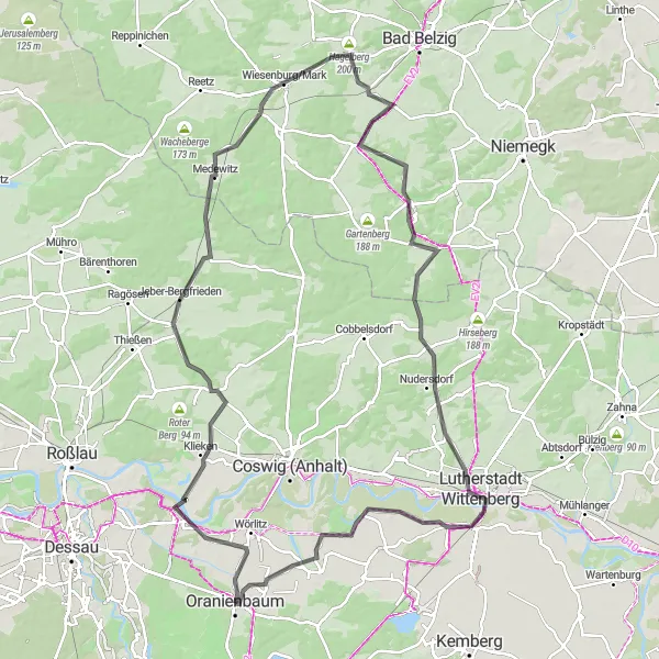 Map miniature of "Wittenberg Tour" cycling inspiration in Sachsen-Anhalt, Germany. Generated by Tarmacs.app cycling route planner