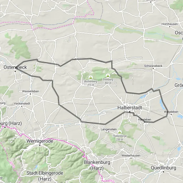 Map miniature of "The Halberstadt Challenge" cycling inspiration in Sachsen-Anhalt, Germany. Generated by Tarmacs.app cycling route planner