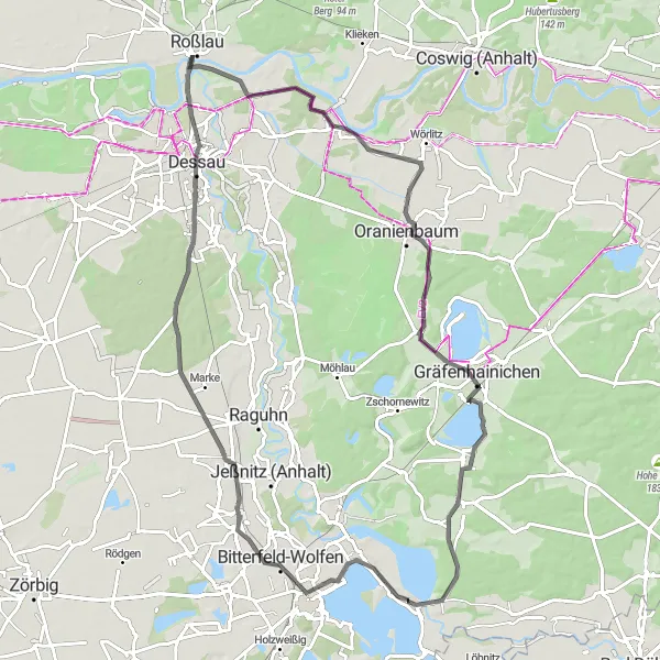 Map miniature of "The Dessau Loop" cycling inspiration in Sachsen-Anhalt, Germany. Generated by Tarmacs.app cycling route planner