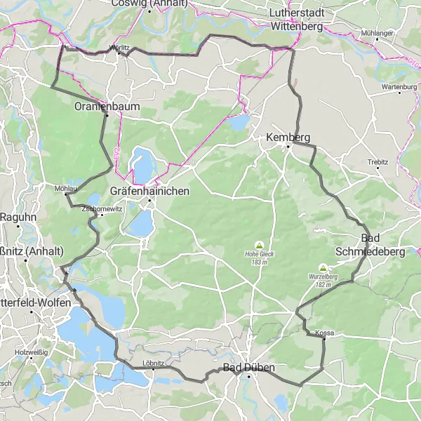 Map miniature of "Vockerode Century" cycling inspiration in Sachsen-Anhalt, Germany. Generated by Tarmacs.app cycling route planner