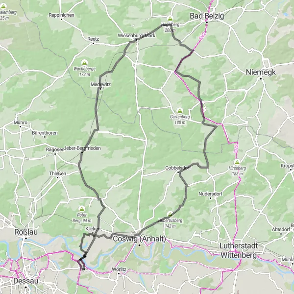 Map miniature of "The Düben Loop" cycling inspiration in Sachsen-Anhalt, Germany. Generated by Tarmacs.app cycling route planner