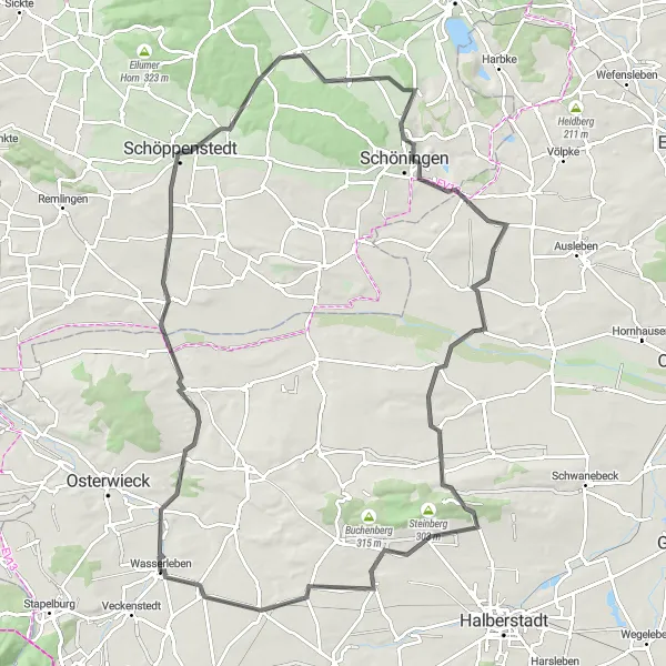 Map miniature of "Wasserleben Loop" cycling inspiration in Sachsen-Anhalt, Germany. Generated by Tarmacs.app cycling route planner