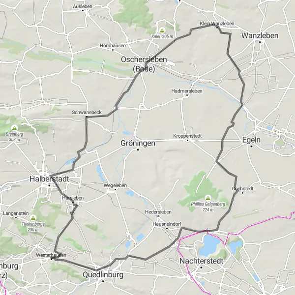 Map miniature of "Westerhausen to Quedlinburg Loop" cycling inspiration in Sachsen-Anhalt, Germany. Generated by Tarmacs.app cycling route planner