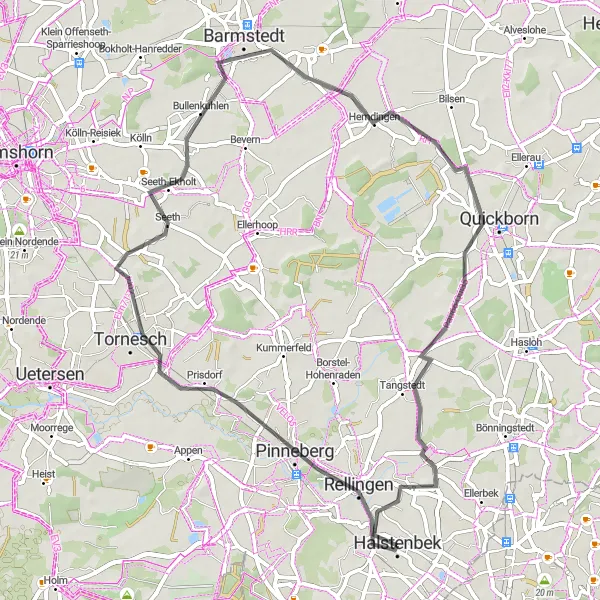 Map miniature of "Pinneberg to Tangstedt Loop" cycling inspiration in Schleswig-Holstein, Germany. Generated by Tarmacs.app cycling route planner