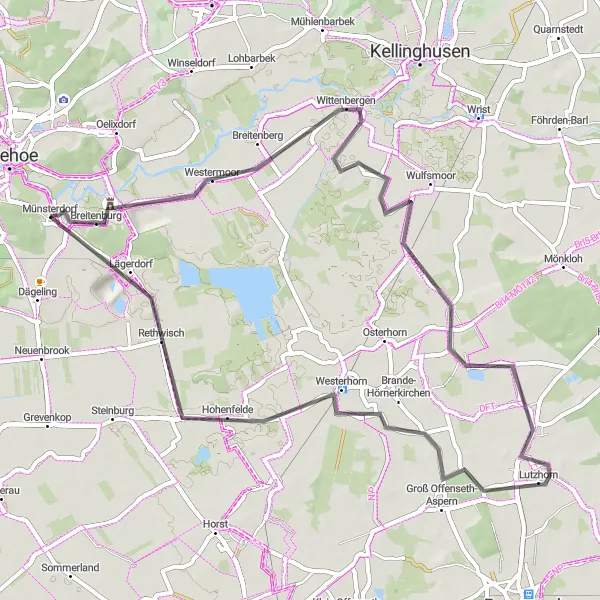 Map miniature of "Road Route through Münsterdorf" cycling inspiration in Schleswig-Holstein, Germany. Generated by Tarmacs.app cycling route planner