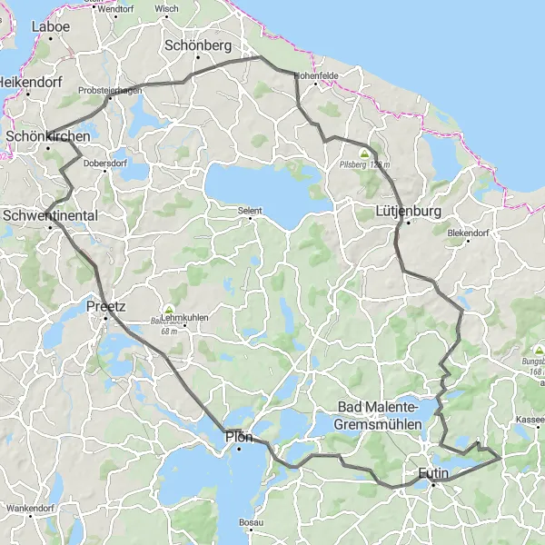 Map miniature of "The Plön Round" cycling inspiration in Schleswig-Holstein, Germany. Generated by Tarmacs.app cycling route planner