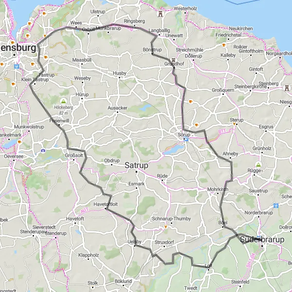 Map miniature of "Heidberg and Süderbrarupholm Loop" cycling inspiration in Schleswig-Holstein, Germany. Generated by Tarmacs.app cycling route planner