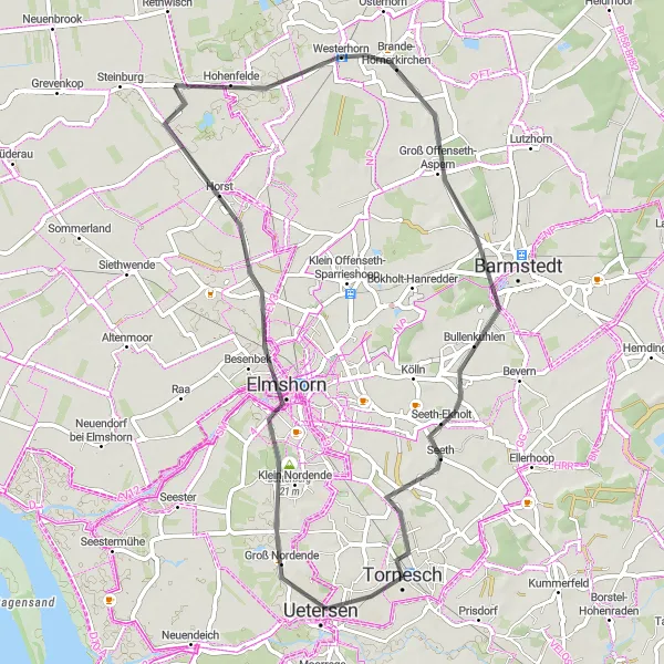 Map miniature of "The Uetersen Loop" cycling inspiration in Schleswig-Holstein, Germany. Generated by Tarmacs.app cycling route planner