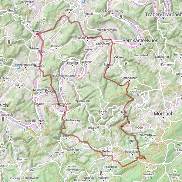 Map miniature of "Hidden Gems of the Eifel" cycling inspiration in Trier, Germany. Generated by Tarmacs.app cycling route planner