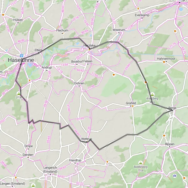 Karten-Miniaturansicht der Radinspiration "Die Haselünne-Route" in Weser-Ems, Germany. Erstellt vom Tarmacs.app-Routenplaner für Radtouren