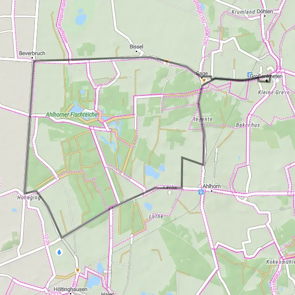 Map miniature of "Sager Heide Loop" cycling inspiration in Weser-Ems, Germany. Generated by Tarmacs.app cycling route planner