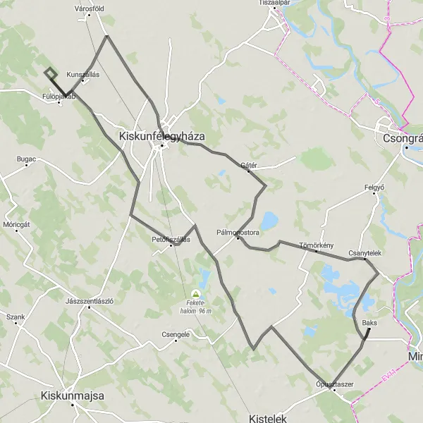 Map miniature of "Pusztaszer Loop" cycling inspiration in Dél-Alföld, Hungary. Generated by Tarmacs.app cycling route planner