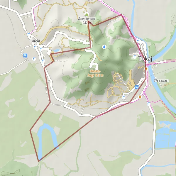 Map miniature of "Tokaj and the Surrounding Hills" cycling inspiration in Észak-Magyarország, Hungary. Generated by Tarmacs.app cycling route planner