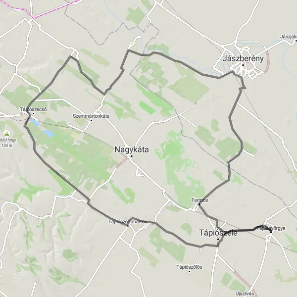Map miniature of "Tápiószele Loop – Rural Road Serenity" cycling inspiration in Pest, Hungary. Generated by Tarmacs.app cycling route planner