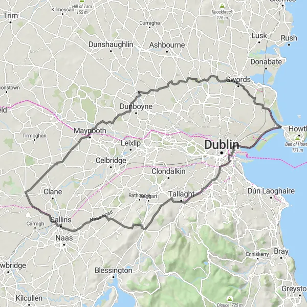 Map miniature of "Dublin Loop" cycling inspiration in Eastern and Midland, Ireland. Generated by Tarmacs.app cycling route planner