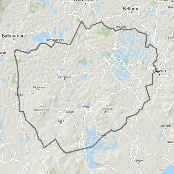 Map miniature of "Lake Gowna Loop" cycling inspiration in Northern and Western, Ireland. Generated by Tarmacs.app cycling route planner