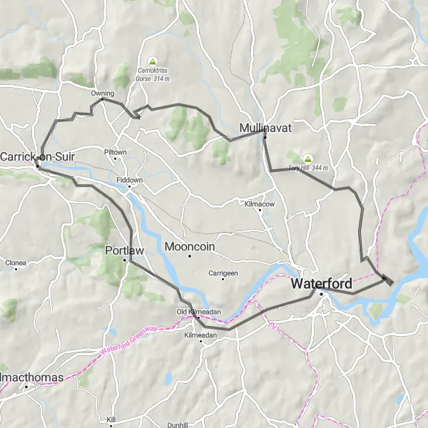 Map miniature of "Carrick-on-Suir Highlights" cycling inspiration in Southern, Ireland. Generated by Tarmacs.app cycling route planner