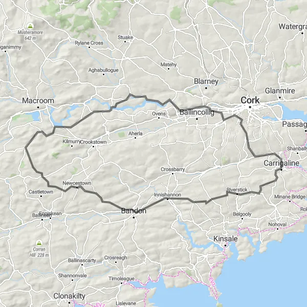 Map miniature of "Riverside Adventure Loop" cycling inspiration in Southern, Ireland. Generated by Tarmacs.app cycling route planner