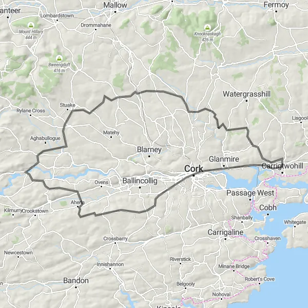 Map miniature of "Challenging Hills and Historic Castles" cycling inspiration in Southern, Ireland. Generated by Tarmacs.app cycling route planner