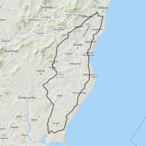 Map miniature of "Castlebridge Loop" cycling inspiration in Southern, Ireland. Generated by Tarmacs.app cycling route planner