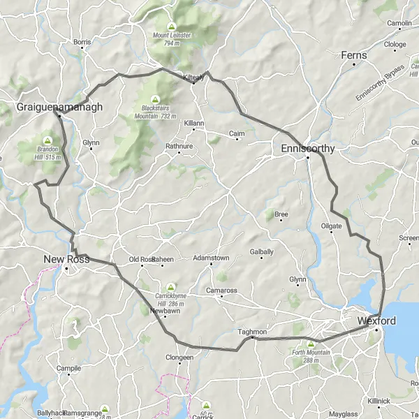 Map miniature of "Wexford Adventure Ride" cycling inspiration in Southern, Ireland. Generated by Tarmacs.app cycling route planner