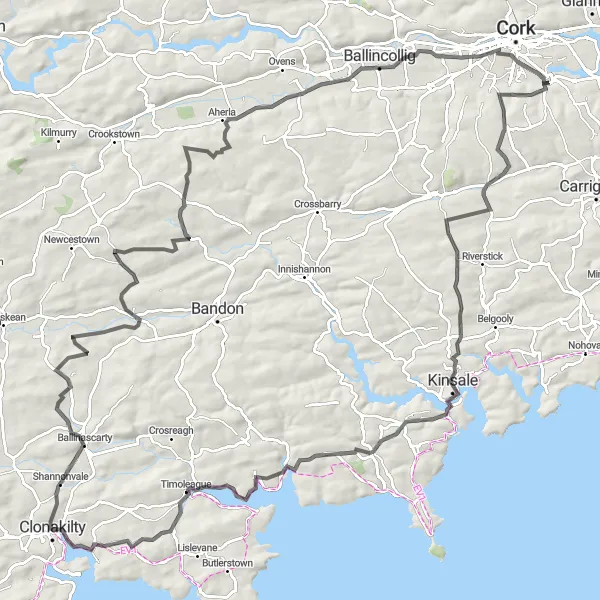 Map miniature of "Countryside Loop" cycling inspiration in Southern, Ireland. Generated by Tarmacs.app cycling route planner