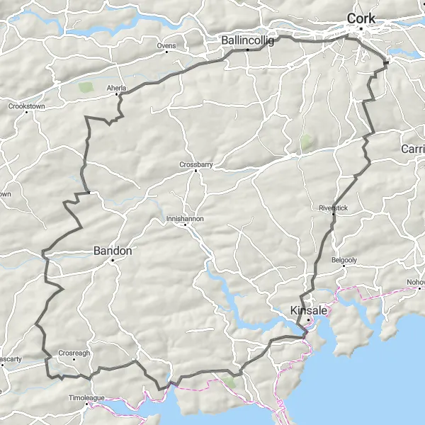 Map miniature of "Riverstick to City View Summit loop" cycling inspiration in Southern, Ireland. Generated by Tarmacs.app cycling route planner