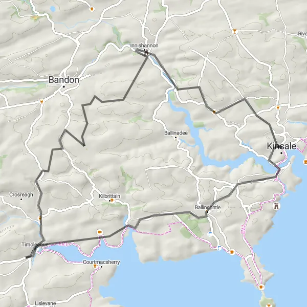 Map miniature of "Coastal Beauty: Kinsale to Timoleague" cycling inspiration in Southern, Ireland. Generated by Tarmacs.app cycling route planner