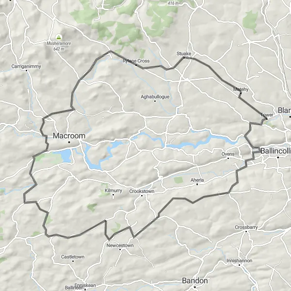 Map miniature of "Historical Houses and Scenic Routes" cycling inspiration in Southern, Ireland. Generated by Tarmacs.app cycling route planner