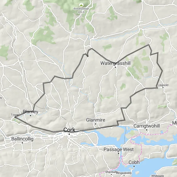 Map miniature of "Blarney Loop" cycling inspiration in Southern, Ireland. Generated by Tarmacs.app cycling route planner