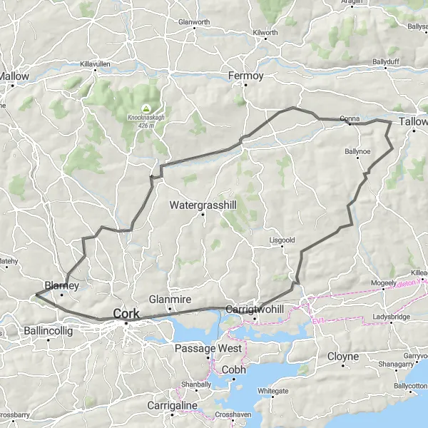 Map miniature of "The Tower Loop" cycling inspiration in Southern, Ireland. Generated by Tarmacs.app cycling route planner