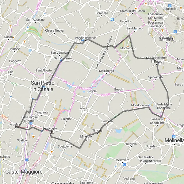 Miniatua del mapa de inspiración ciclista "Ruta de Minerbio" en Emilia-Romagna, Italy. Generado por Tarmacs.app planificador de rutas ciclistas