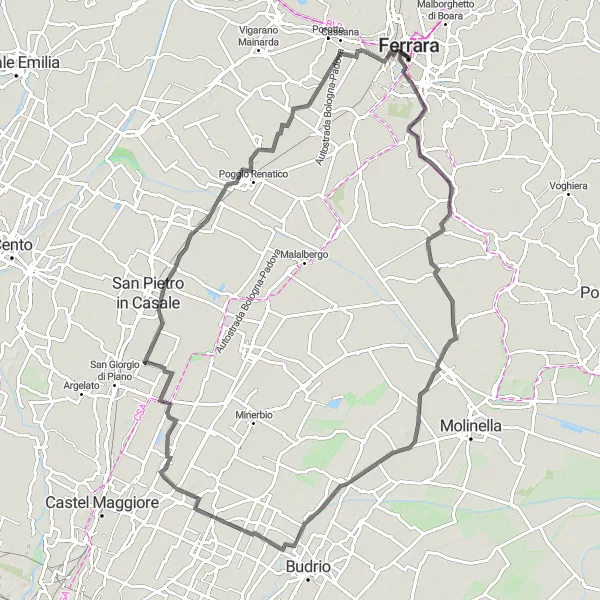 Map miniature of "Ferrara - Torre della Fossa - Riccardina - Bentivoglio - Rubizzano - Poggio Renatico - Palazzo delle Poste Centrali" cycling inspiration in Emilia-Romagna, Italy. Generated by Tarmacs.app cycling route planner