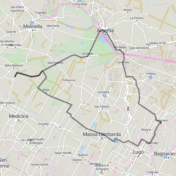 Miniatua del mapa de inspiración ciclista "Ruta en carretera a través de Massa Lombarda y Lavezzola" en Emilia-Romagna, Italy. Generado por Tarmacs.app planificador de rutas ciclistas