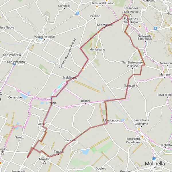 Miniatua del mapa de inspiración ciclista "Ruta de Grava Malalbergo" en Emilia-Romagna, Italy. Generado por Tarmacs.app planificador de rutas ciclistas
