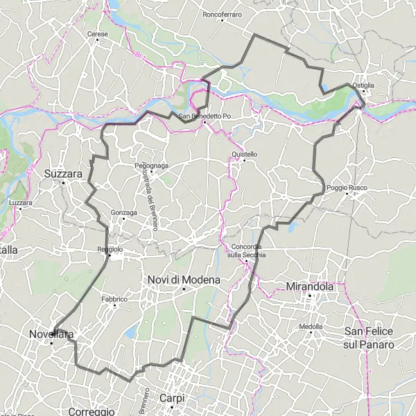 Miniaturní mapa "Okruh kolem Novellara - Road" inspirace pro cyklisty v oblasti Emilia-Romagna, Italy. Vytvořeno pomocí plánovače tras Tarmacs.app