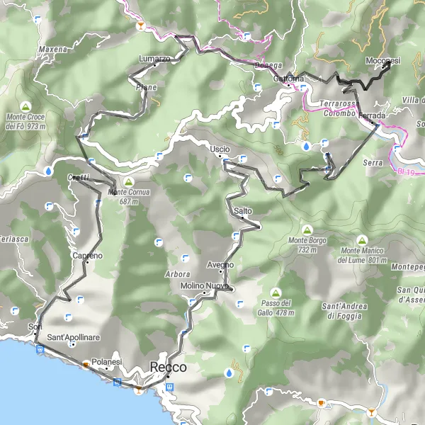 Miniatura della mappa di ispirazione al ciclismo "Avventura ciclistica tra Ferrada e Gattorna" nella regione di Liguria, Italy. Generata da Tarmacs.app, pianificatore di rotte ciclistiche