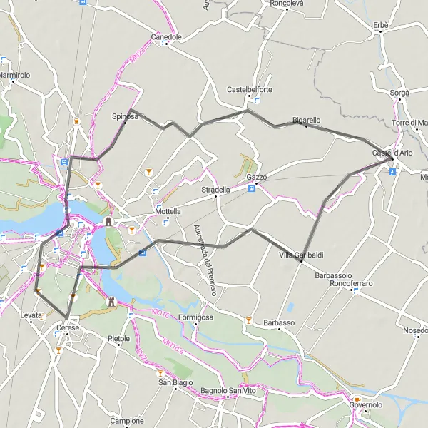 Map miniature of "Isola Fiori Loto and Mantua Loop" cycling inspiration in Lombardia, Italy. Generated by Tarmacs.app cycling route planner