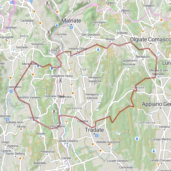 Miniatua del mapa de inspiración ciclista "Ruta de gravilla a Castiglione Olona y Tradate" en Lombardia, Italy. Generado por Tarmacs.app planificador de rutas ciclistas